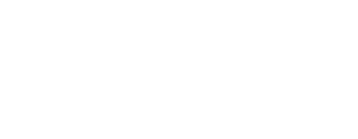 Logo LinkSoft Technologies